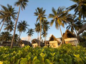 Savera Beach Houses